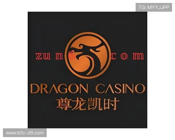 尊龙官网网页版安全可靠性分析，提供最优质的在线娱乐体验