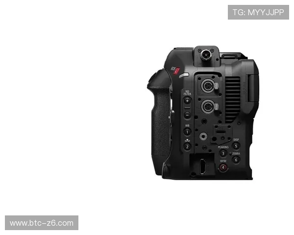 Z6尊龙官网登录入口多设备支持，随时随地畅玩精彩游戏内容