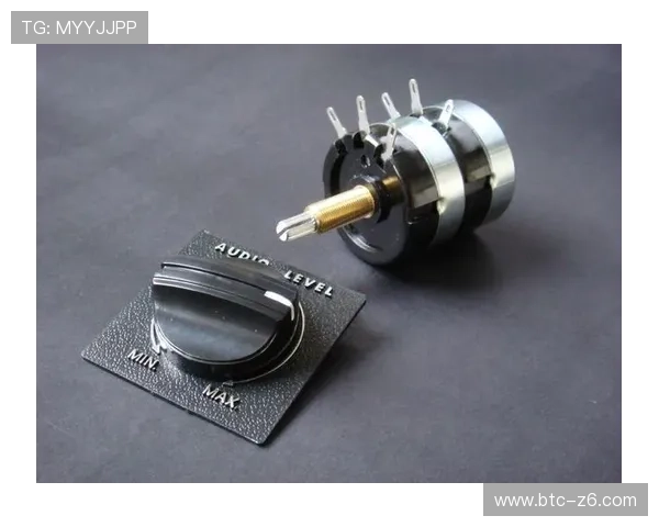 尊龙凯时官方网站入口：全面解析官网入口的访问方式与安全性保障