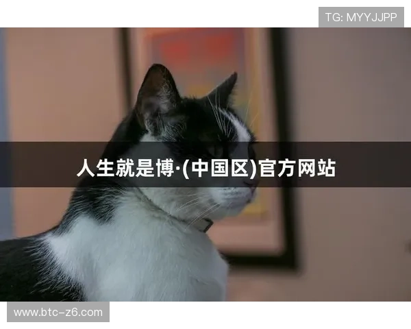 尊龙凯时人生就是博：掌握游戏技巧实现人生目标的实用指南