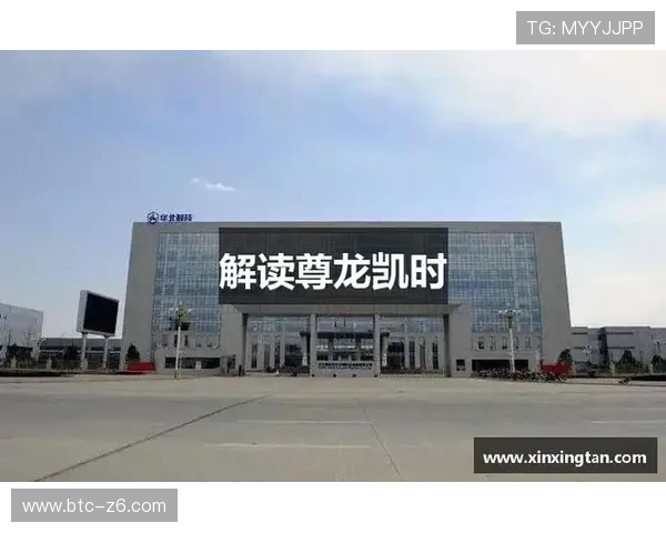 尊龙凯时旗舰厅注册平台的安全保障措施与隐私保护策略，确保玩家信息安全无忧