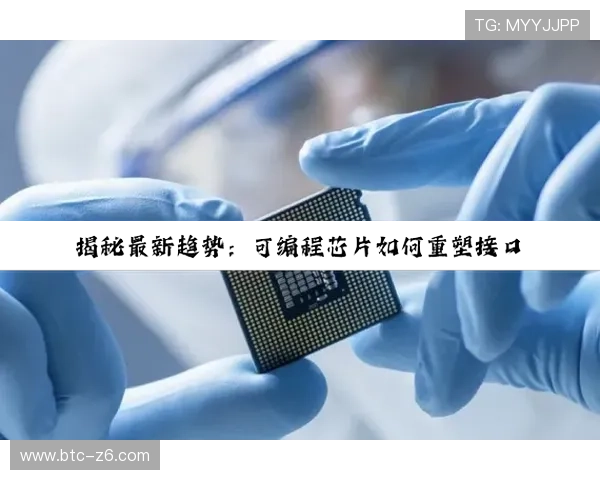 尊龙z6线上手机版安全稳定运行的详细技巧与优化方法，提升你的游戏体验